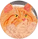 Photo de profil Google de Maxime L.